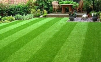 Artificial Grass